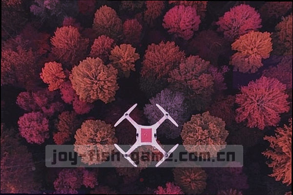 更新的索引表格界面，高亮新增加的行
